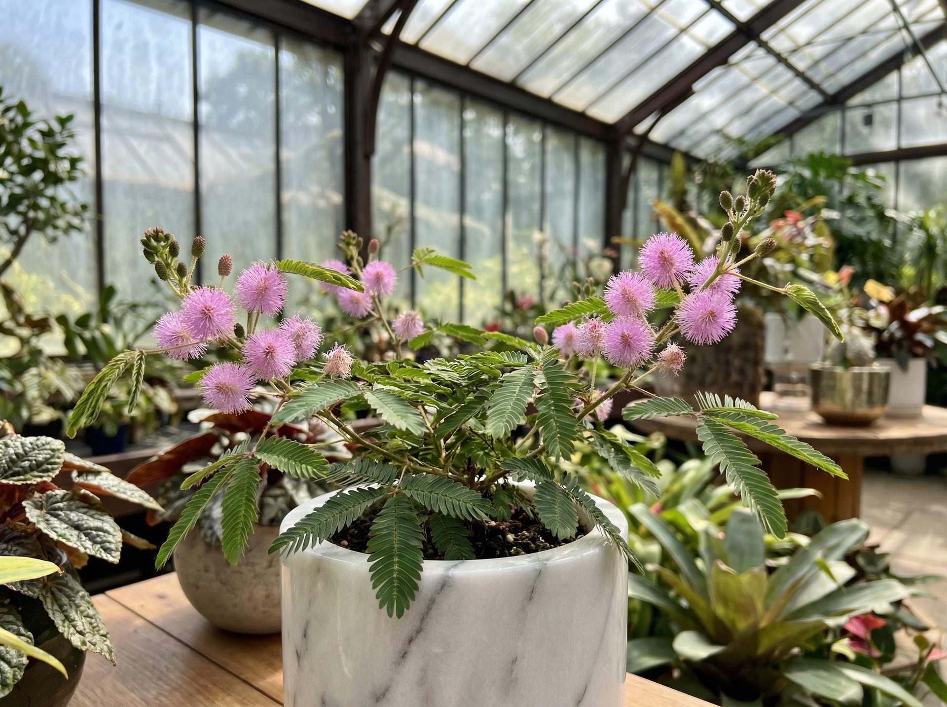 女神视频热门女神视频